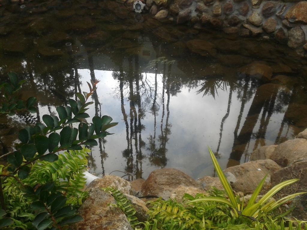 Hotel Happy Nest Yercaud Extérieur photo